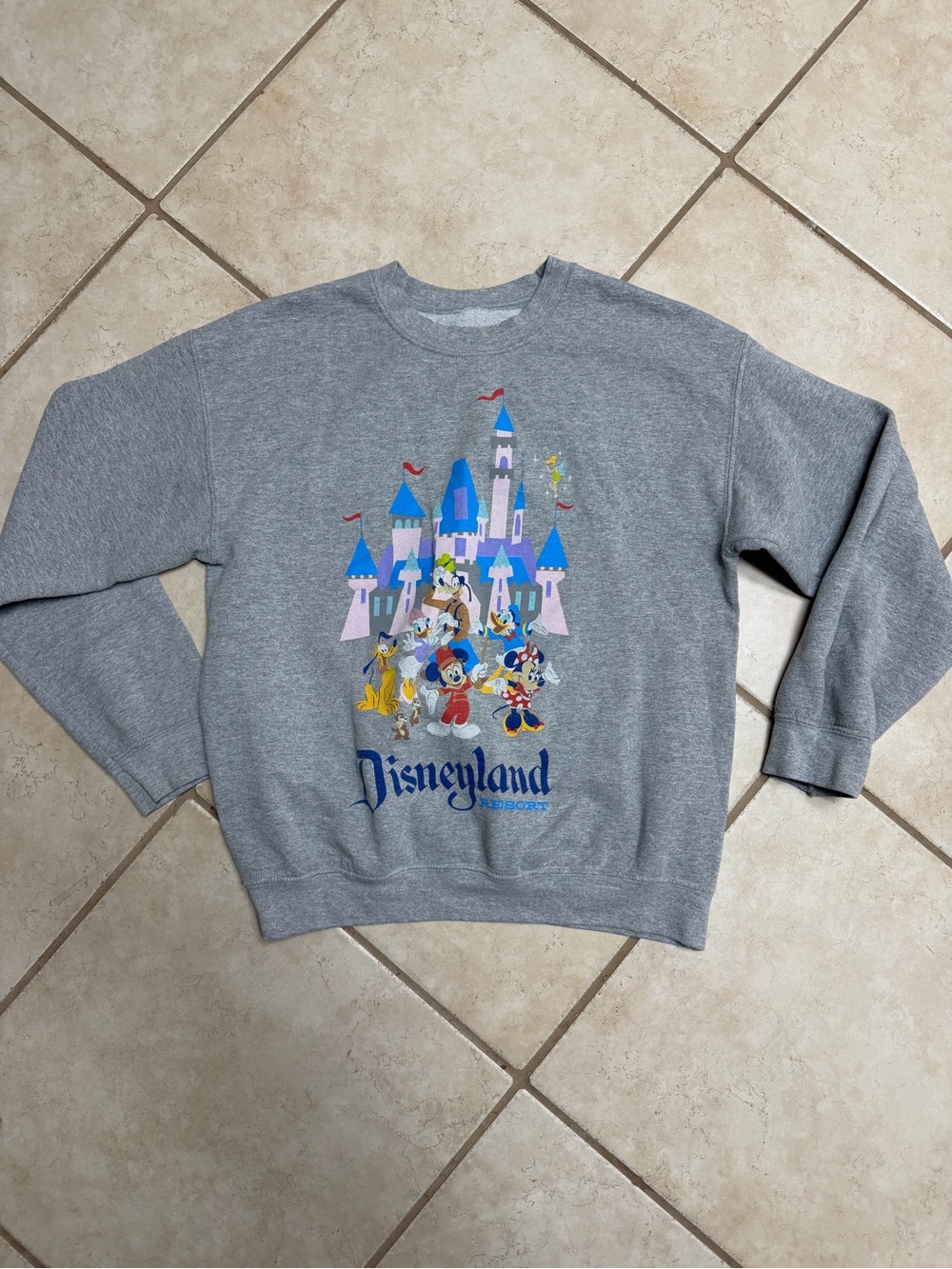 Funko Grey Disney Logo Sweatshirt